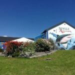 Dingle Aquarium